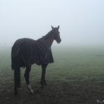 "och neeee....schon wieder diese suppe"