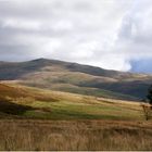 Ochil Hills ...