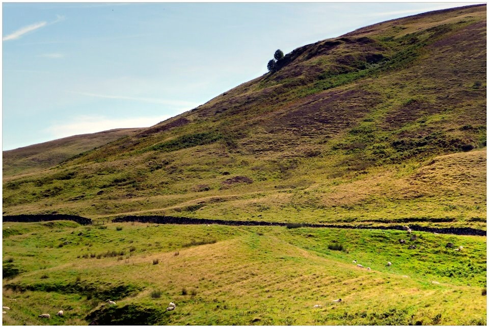 Ochil Hills