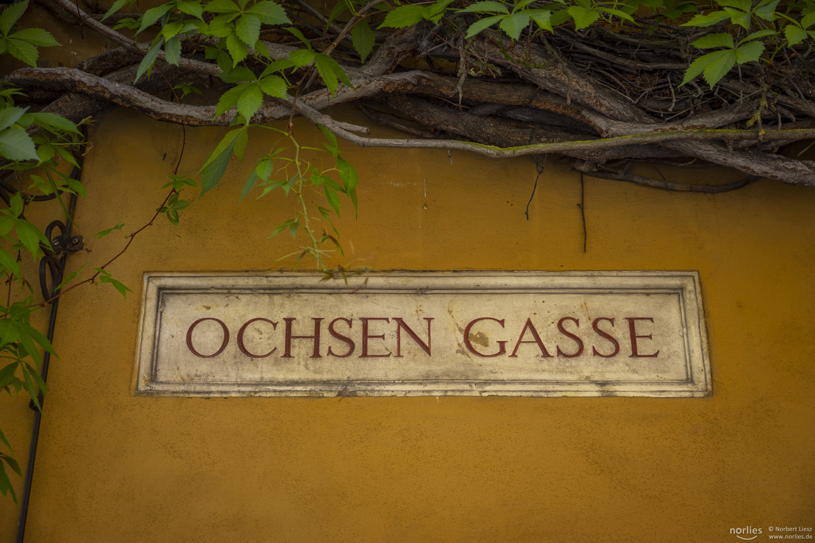 Ochsen Gasse