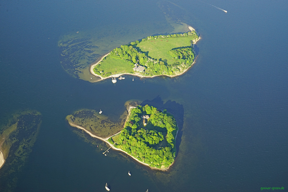 Ochseninseln in Dänemark!