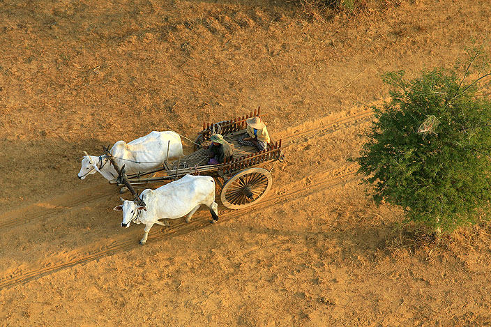 Ochsenkarren aus dem Ballon