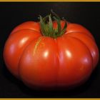 Ochsenkopf-Tomate