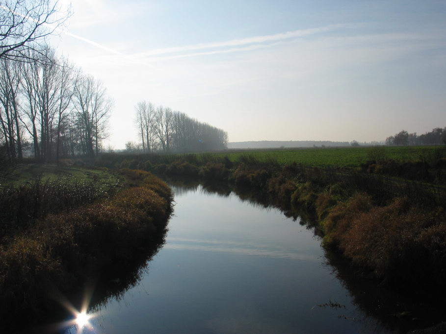 Ochsenmoor am Dümmer 10