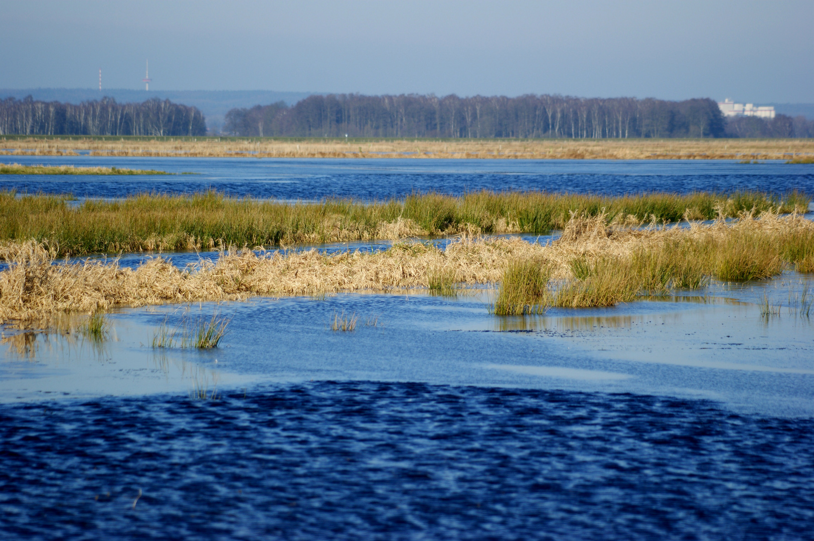 Ochsenmoor am Dümmer See