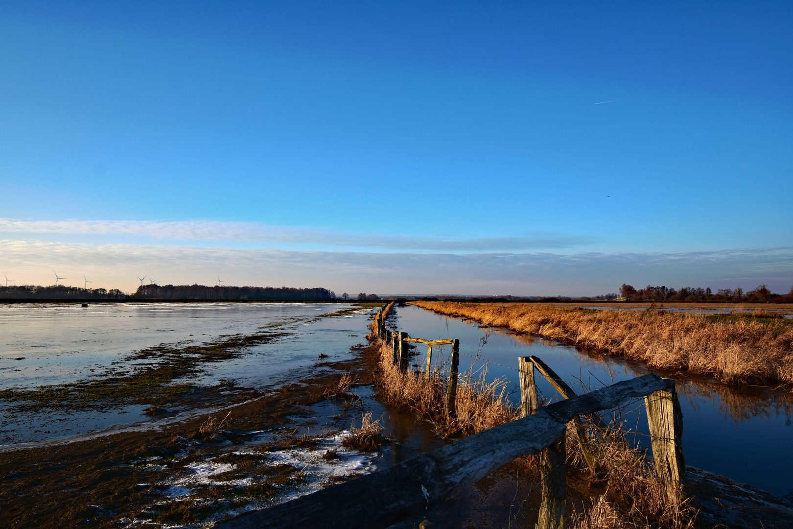 Ochsenmoor im Januar