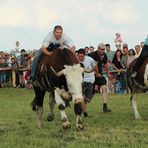 Ochsenrennen 1 ..... in Bachern / Friedberg. Es ging um die bayerische Meisterschaft.