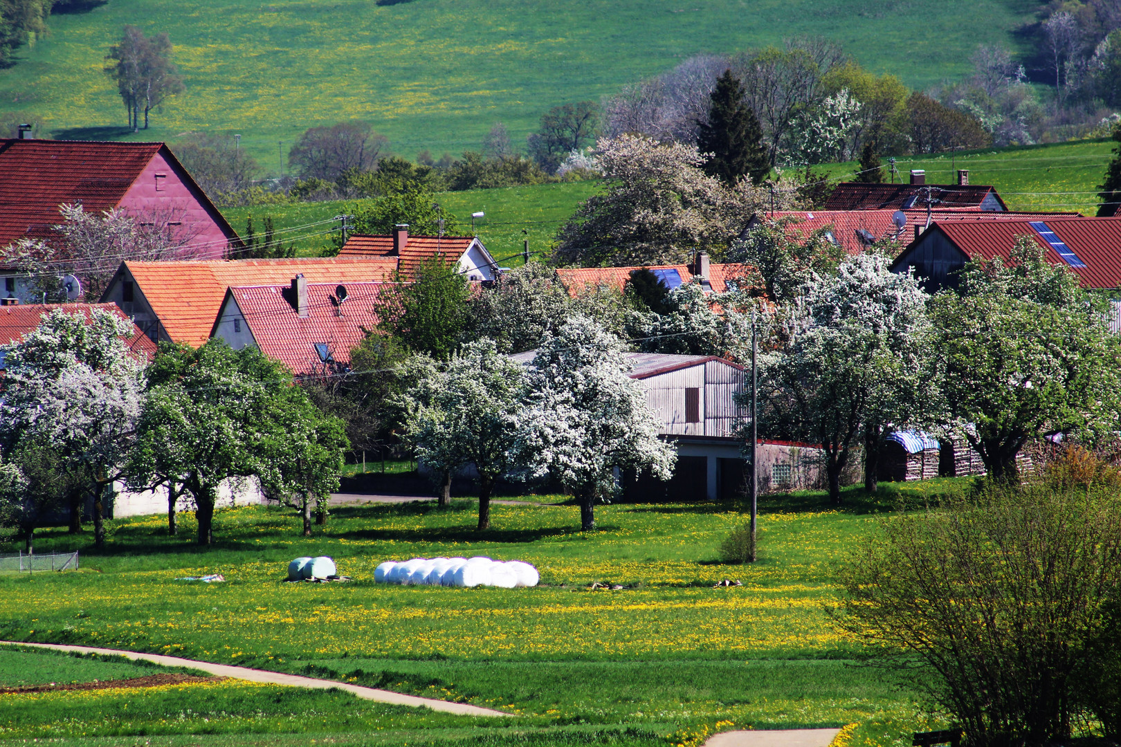 Ochsenwang ein kleines  Dorf am Randecker Maar