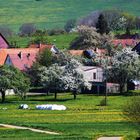 Ochsenwang ein kleines  Dorf am Randecker Maar