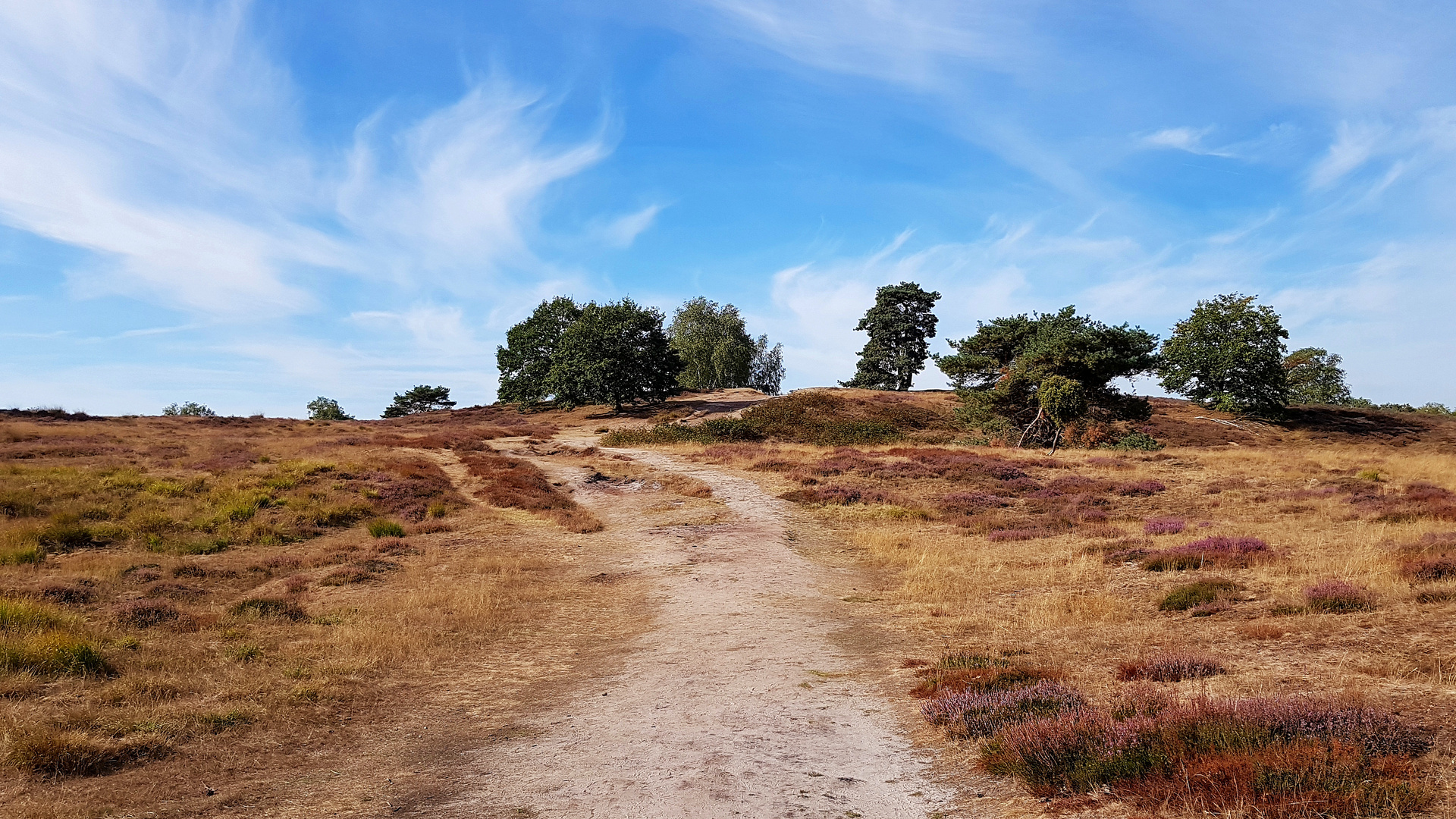 Ochtruper Heide, Haltern am See