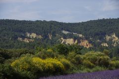 Ocker, Ginster, Lavendel