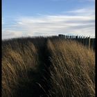 Ocker und Blau -Auf dem Pfad zwischen Welten