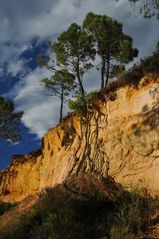 Ockerfelsen bei Roussillon (1)