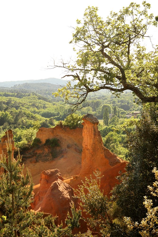 Ockerfelsen von Rustrel (2)