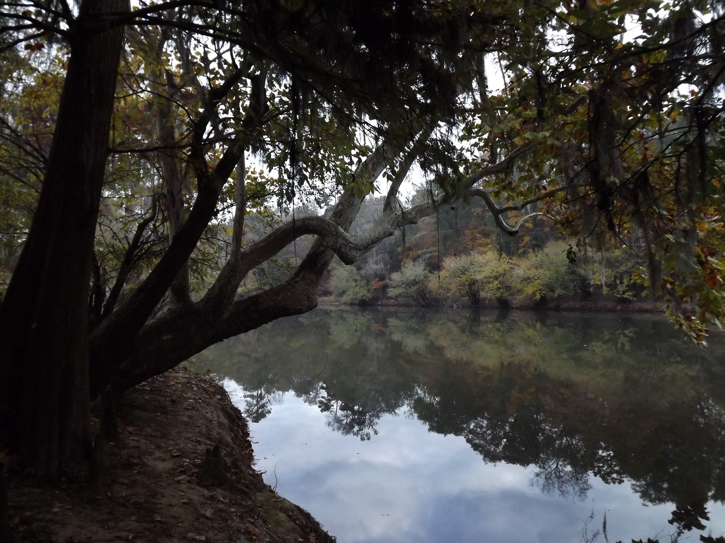 Ocmulgee River in Georgia