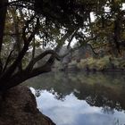 Ocmulgee River in Georgia