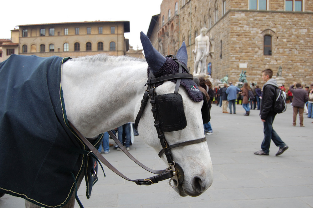 O..com'è delizioso andar sulla carrozzella....