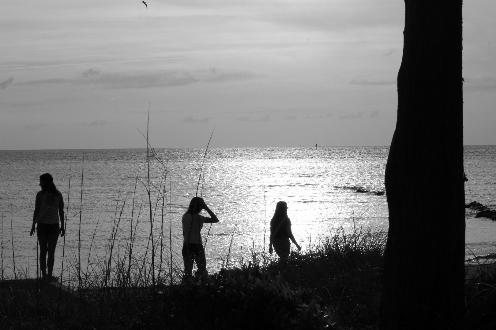 Ocracoke at Dusk