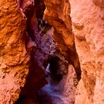 Ocres dans le Bryce Canyon
