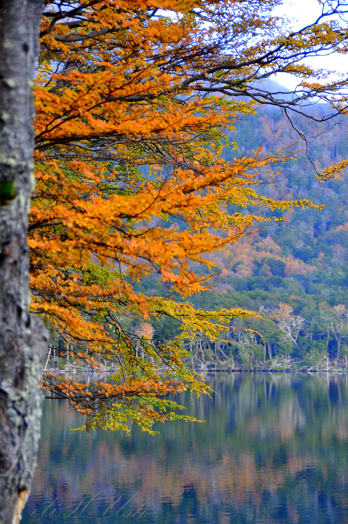 Ocres y el lago