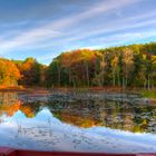 October at Houghton's Pond