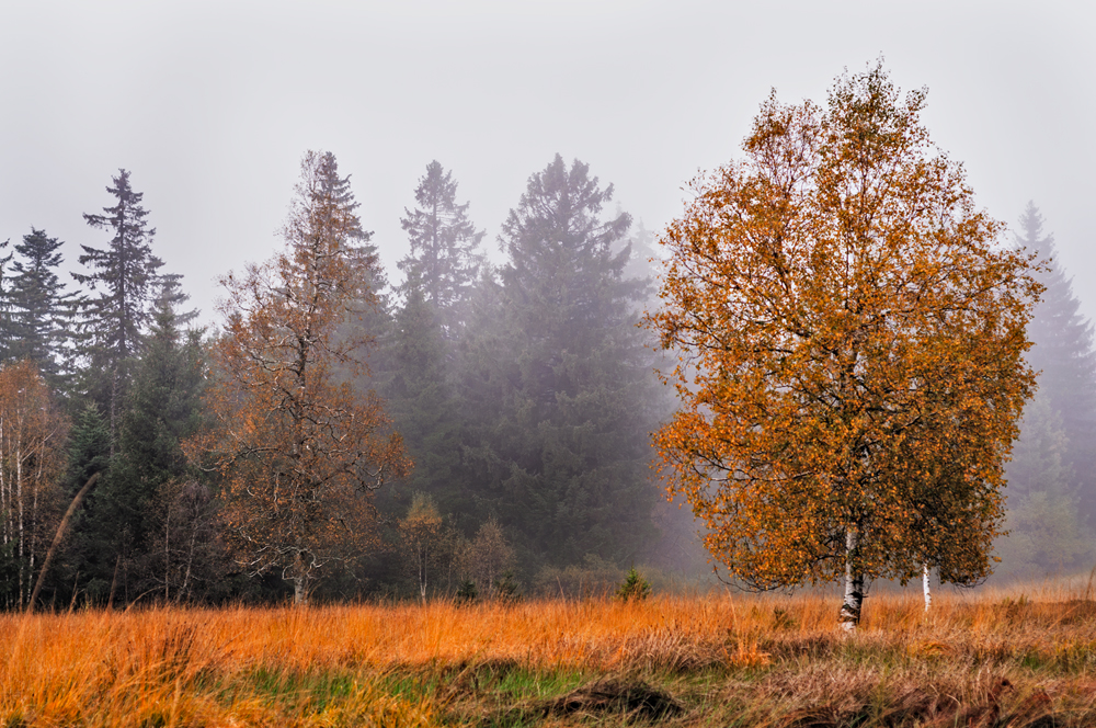 october colours