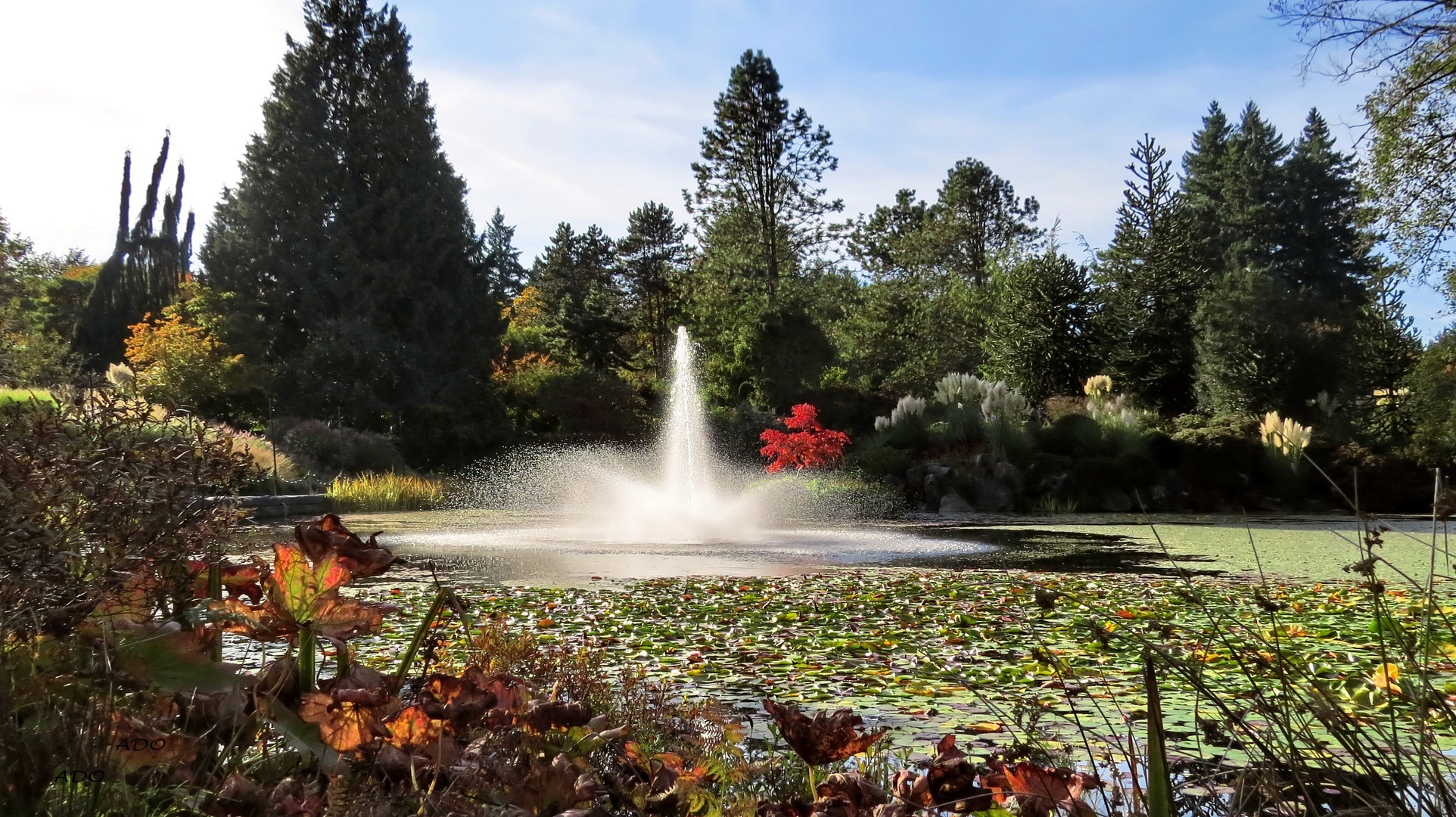  October in Vancouver (2)