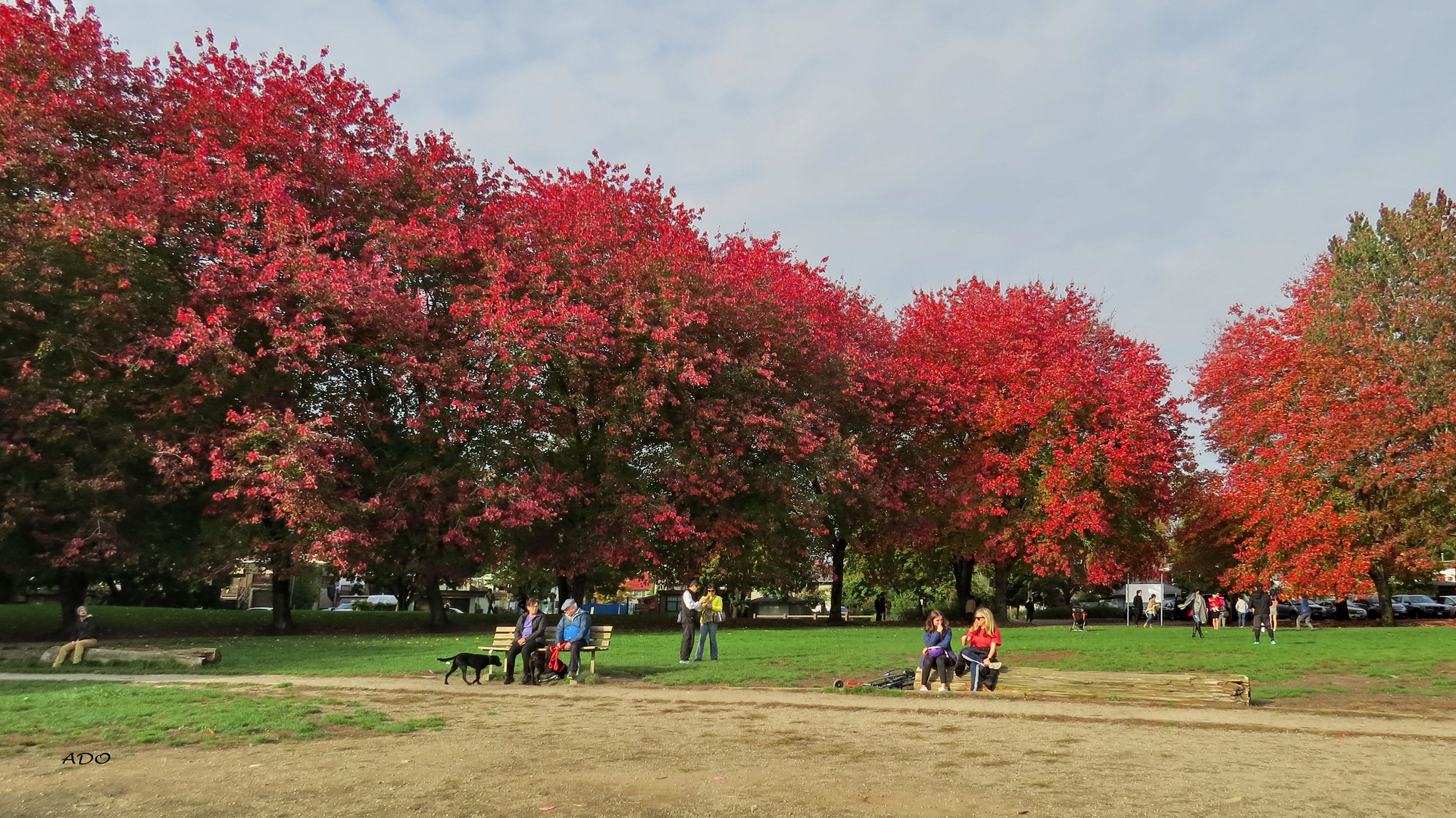 October in Vancouver (3)