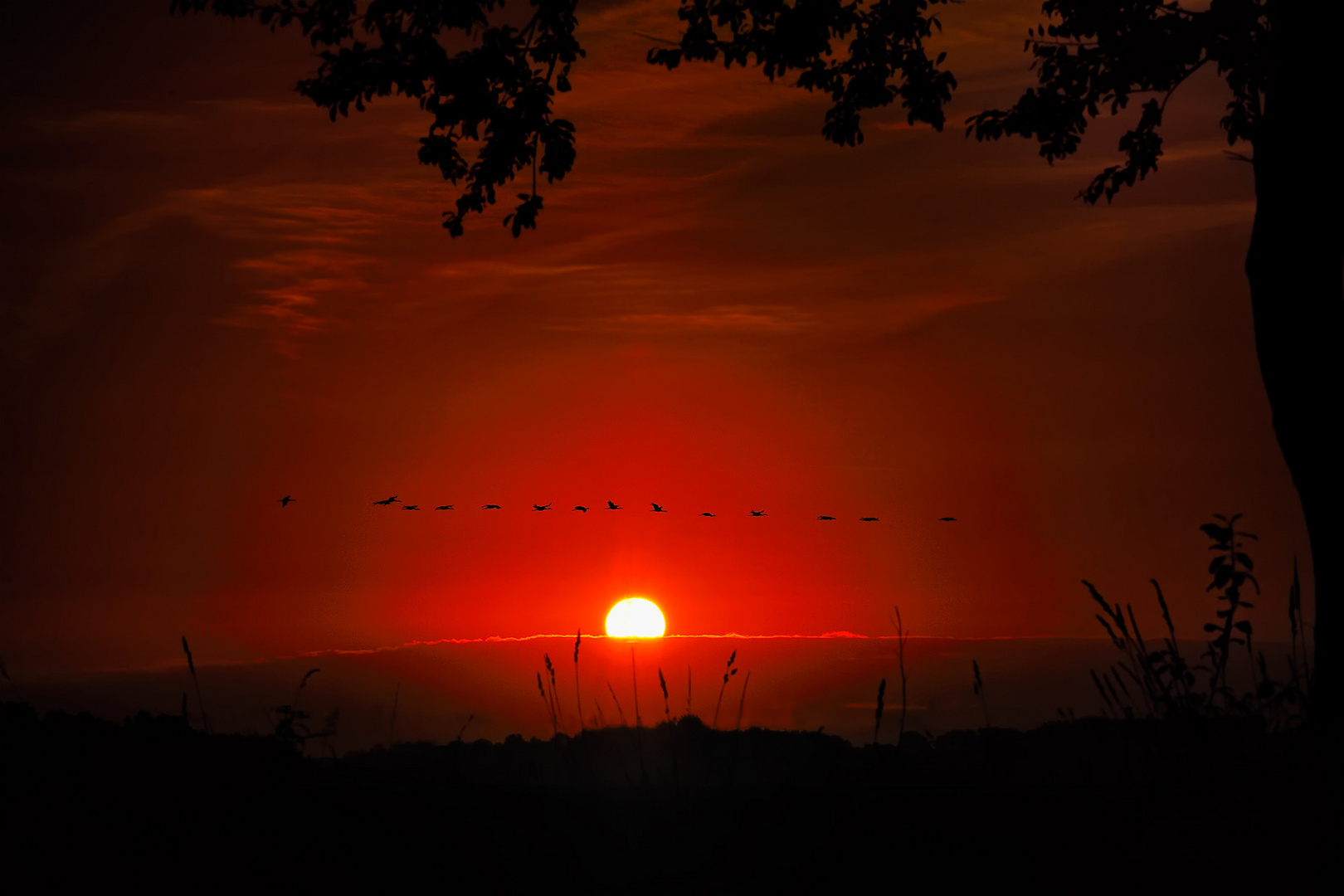 October Sunrise Foto & Bild jahreszeiten, herbst, natur Bilder auf