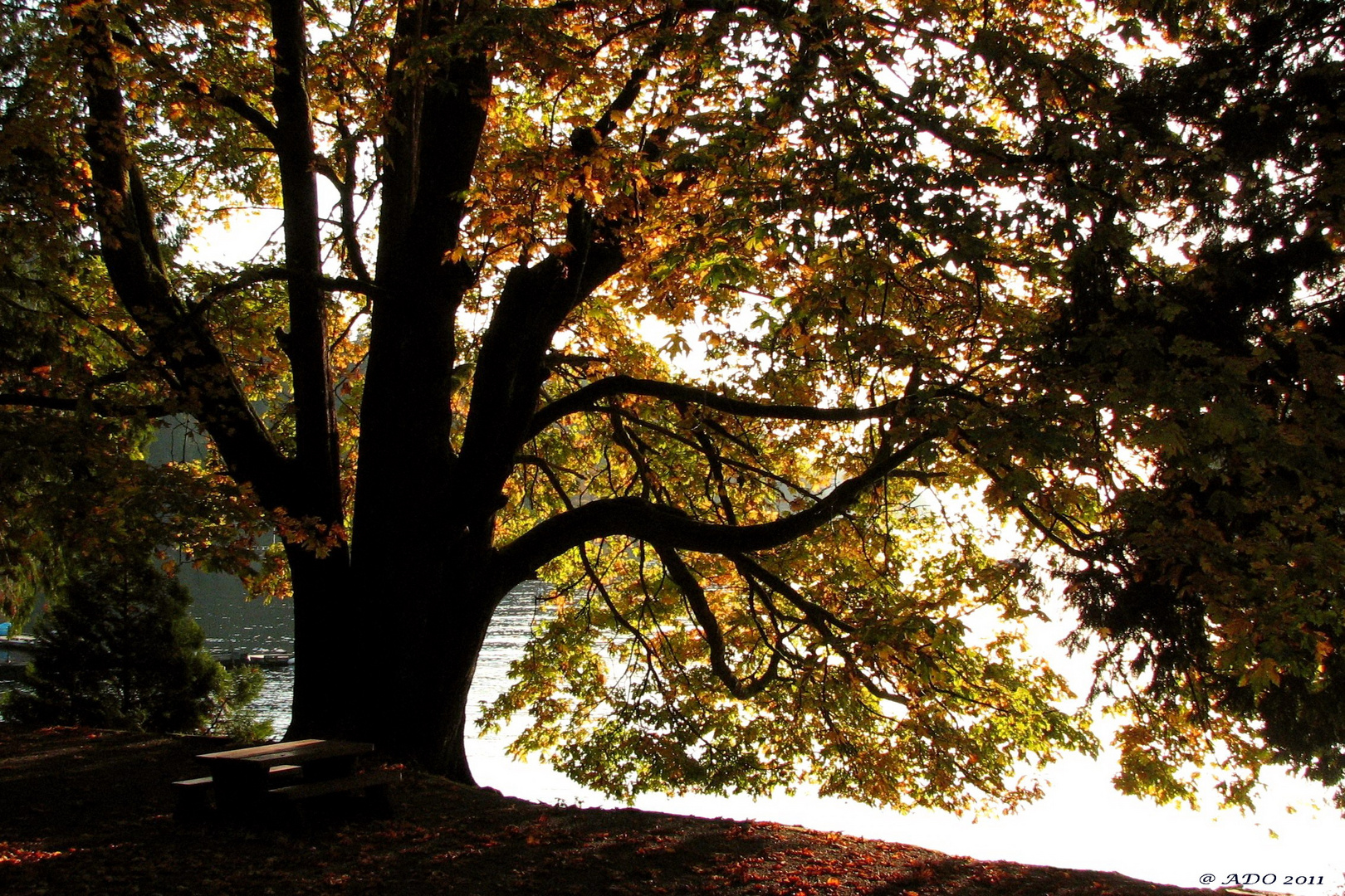 October Views from Keats Island (3)