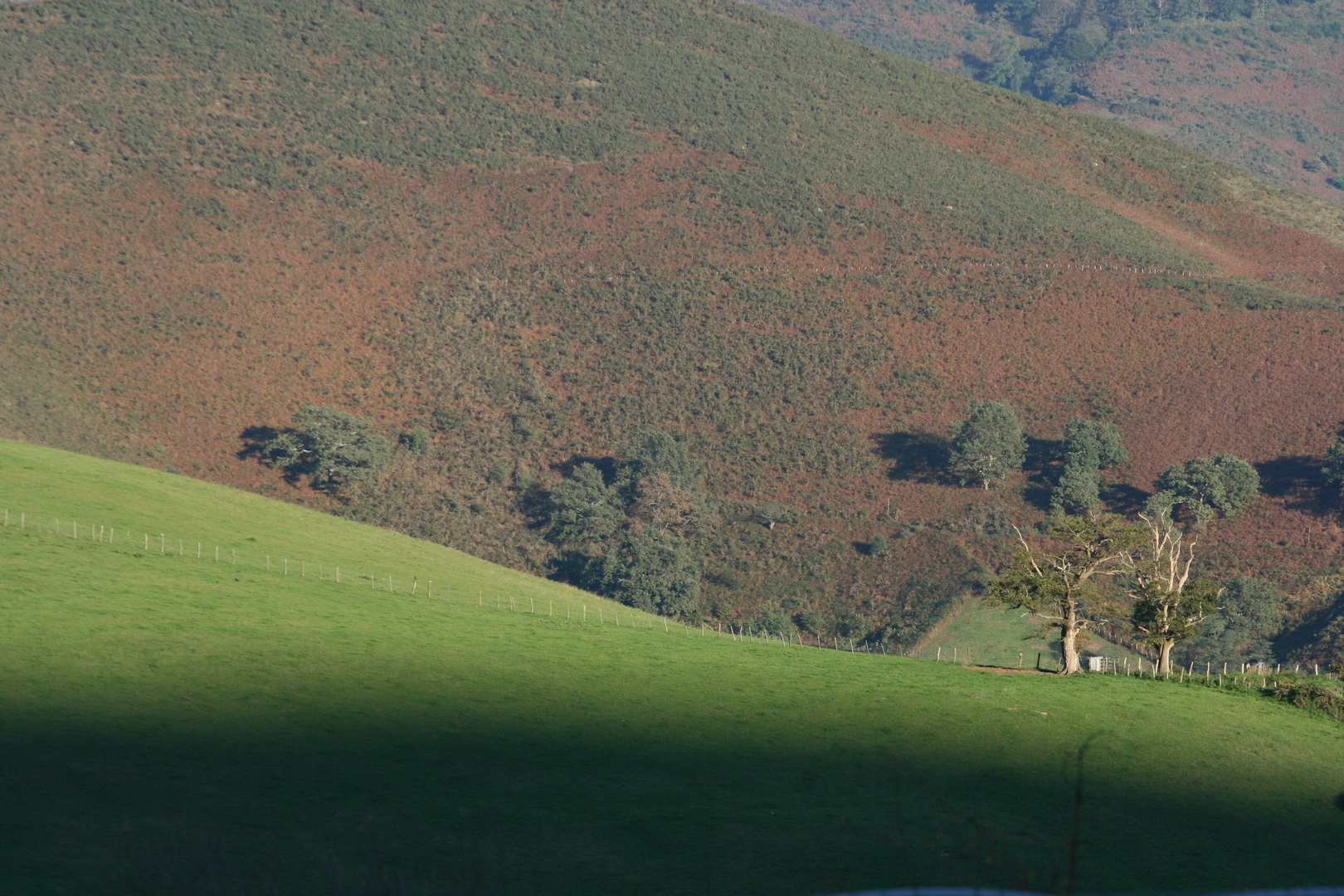 octobre au Pays Basque