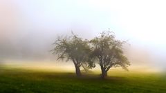 Octobre dans le gers