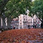 Octubre a La Rambla