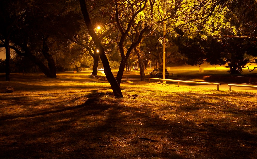 oculto en la sombra