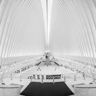 Oculus, New York