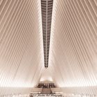 Oculus, New York City 