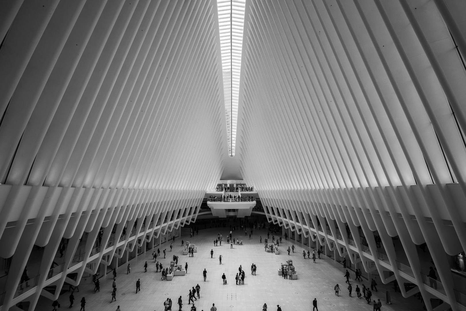 Oculus NYC