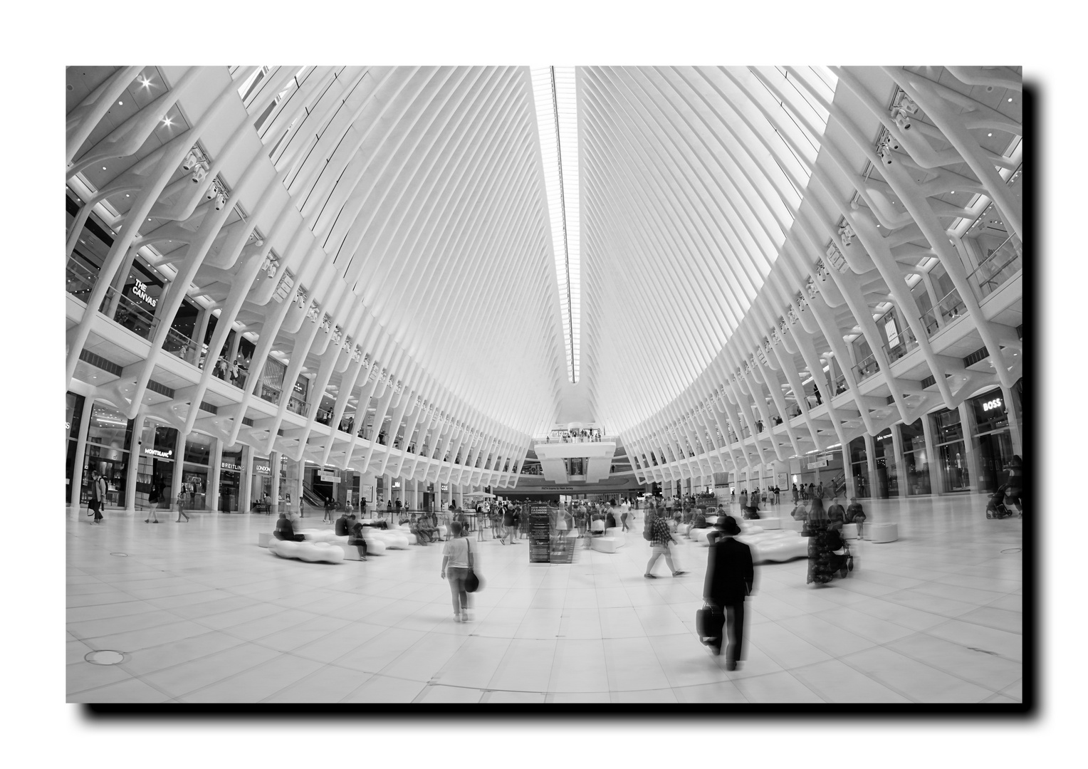 Oculus World Trade Center 