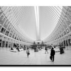 Oculus World Trade Center 