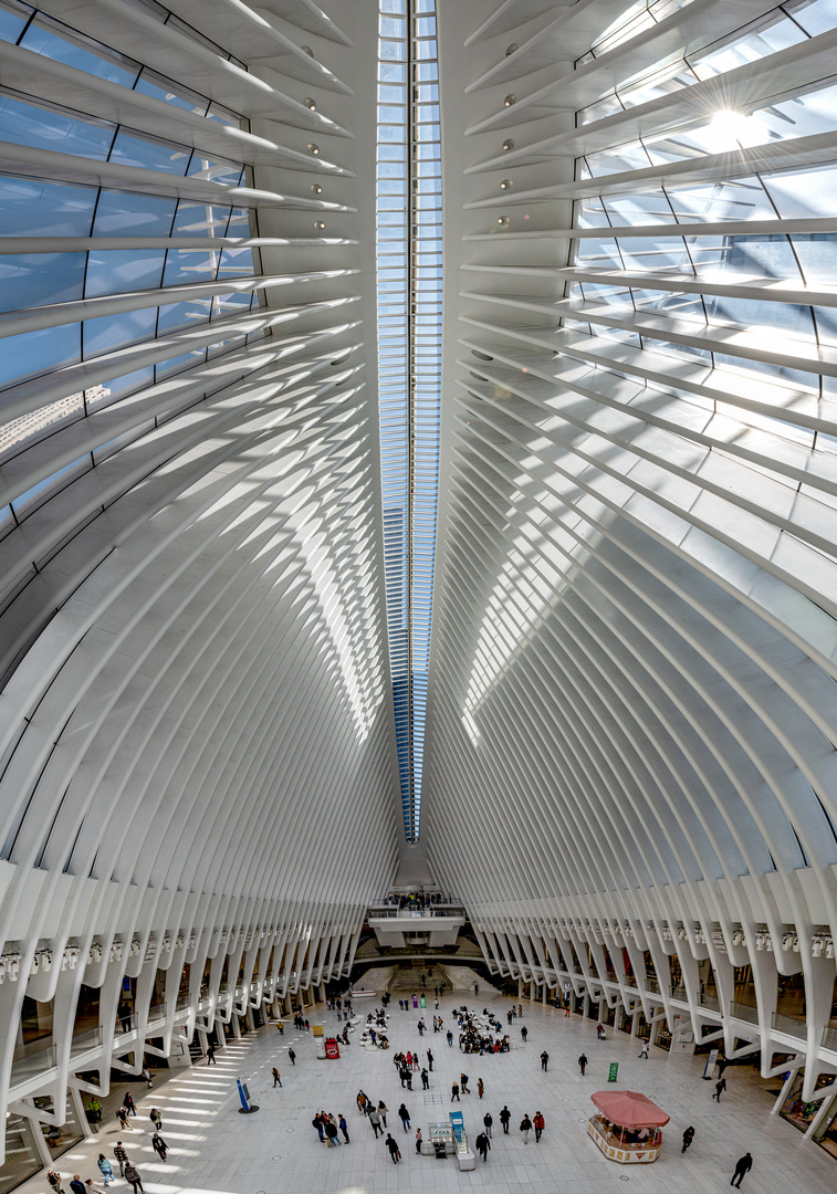 Oculus_inside_NY