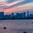 Odaiba Sunset