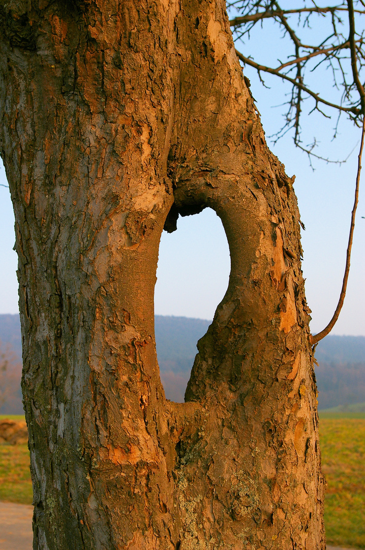 Odenwälder Durchblick 2