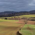 Odenwälder Flickenteppiche