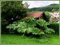 Neulich im Odenwald