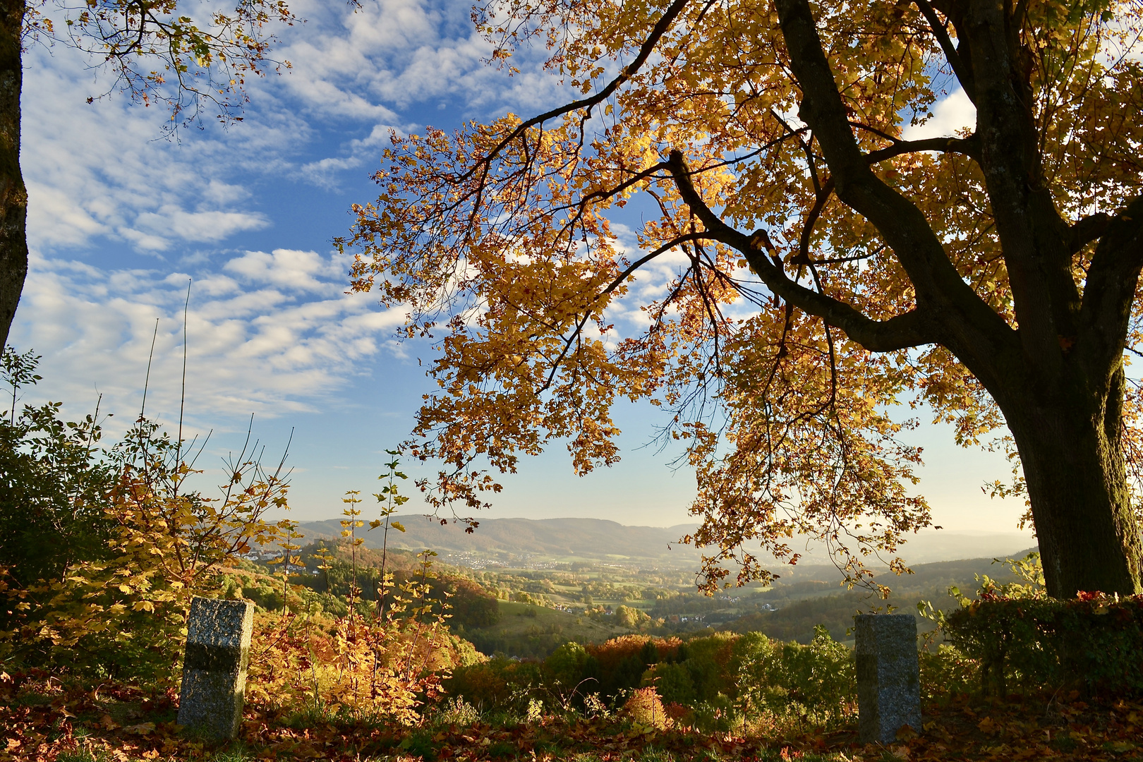 Odenwälder Herbst