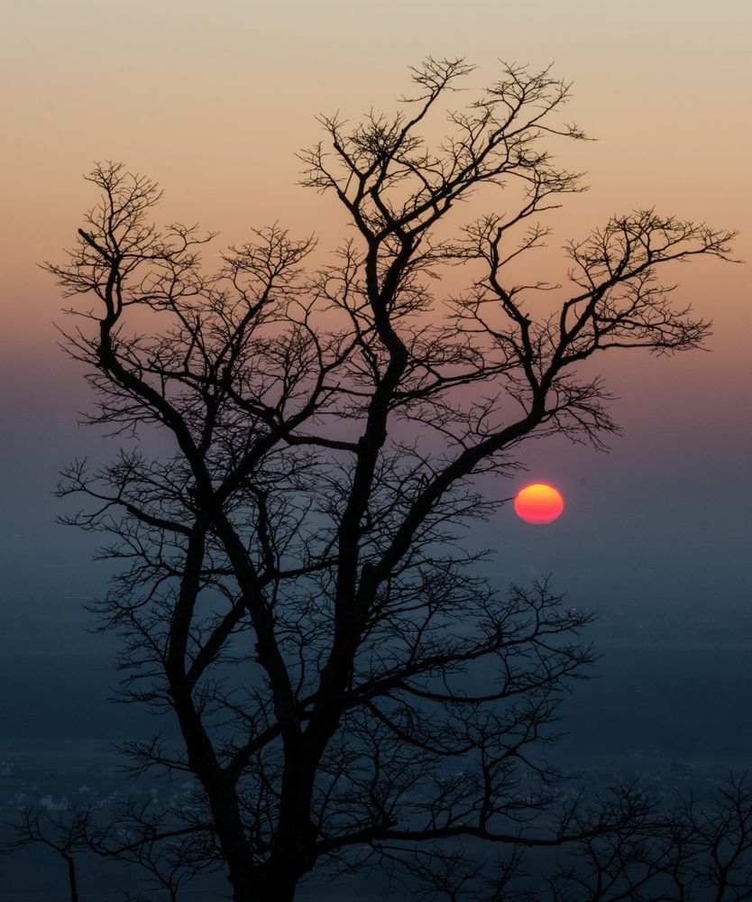 Odenwälder Sunset...