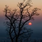 Odenwälder Sunset...