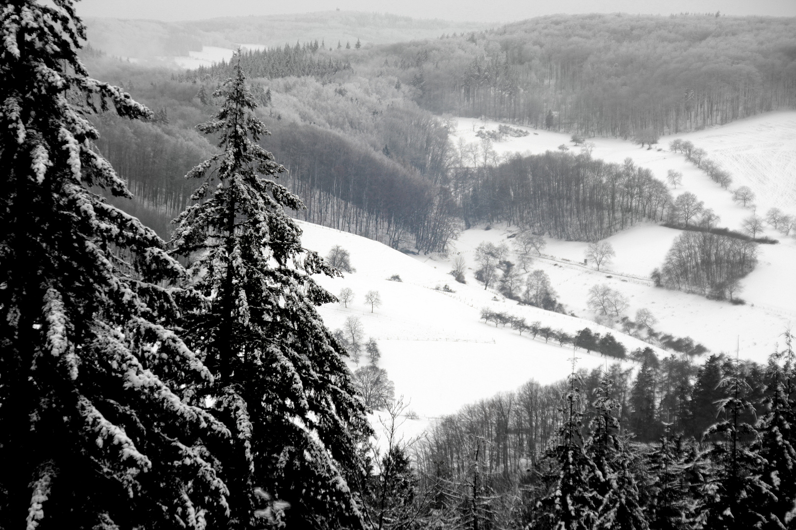 Odenwälder Winter