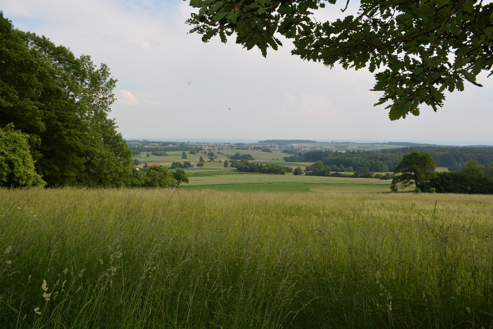 Odenwald