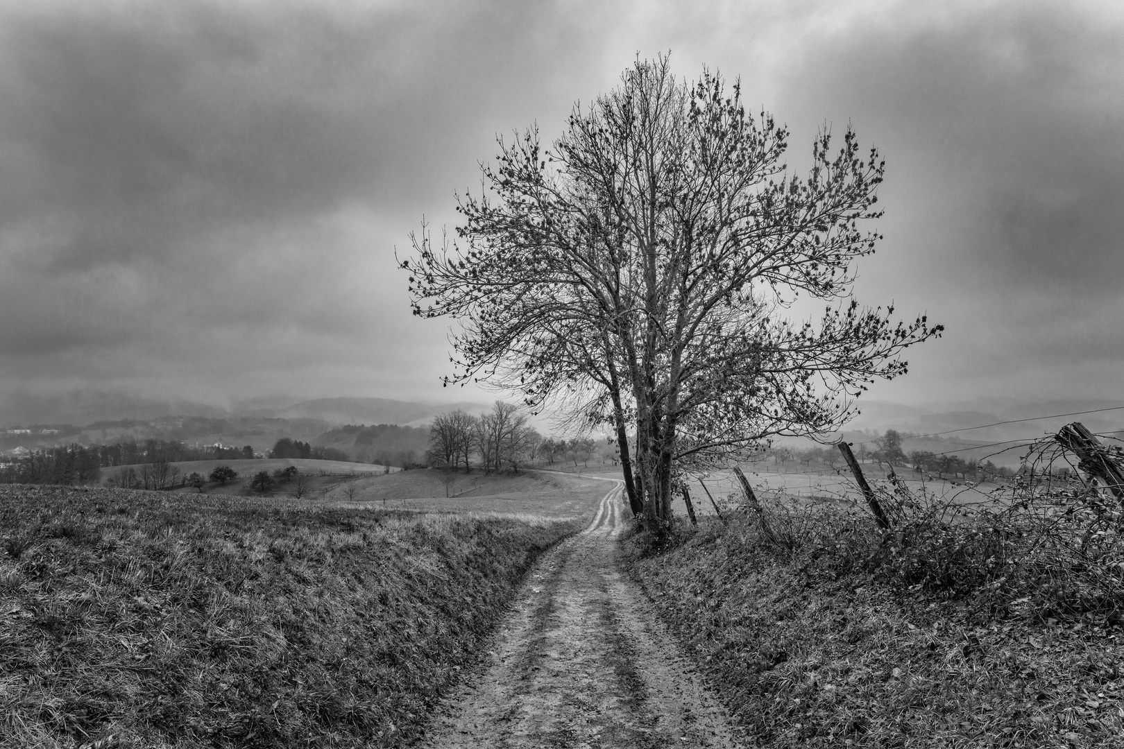 Odenwald (21mm) Januar 2019